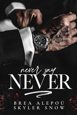 کتاب Never Say Never by Skyler Snow 