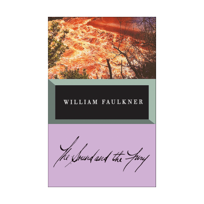 The Sound and The Fury by william faulkner