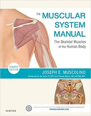  The Muscular System Manual: The Skeletal Muscles of the Human Body